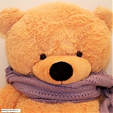 Большой карамельный медведь "Фиолетовый шарфик" 200 см