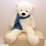 Большой белый медведь "Синий шарфик" 200 см